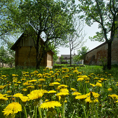 obrázok