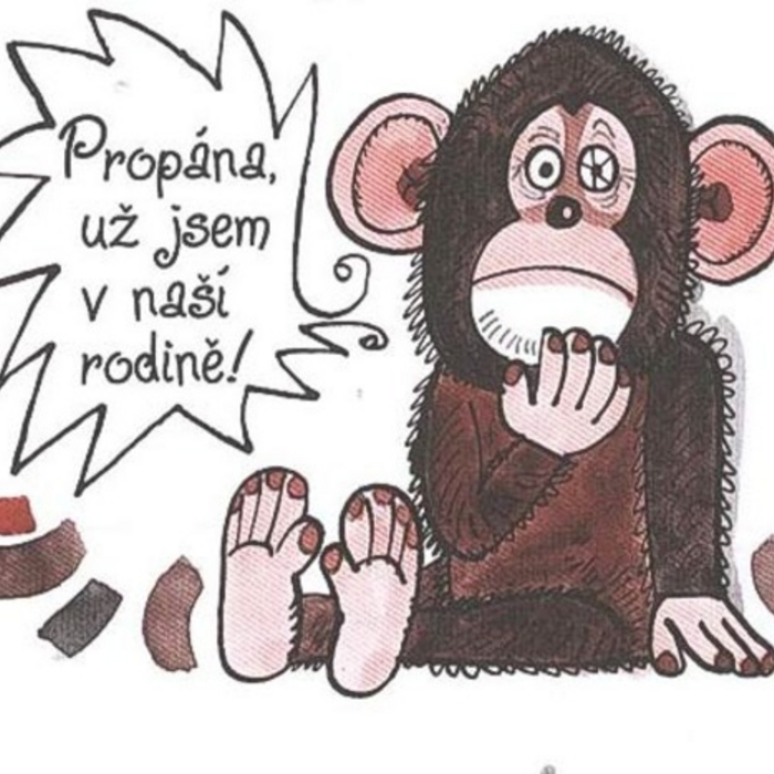 obrázok
