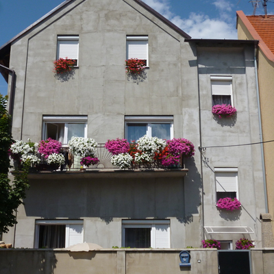 obrázok