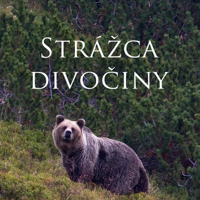 obrázok
