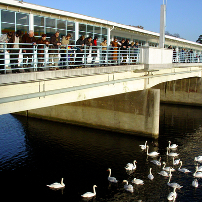 obrázok