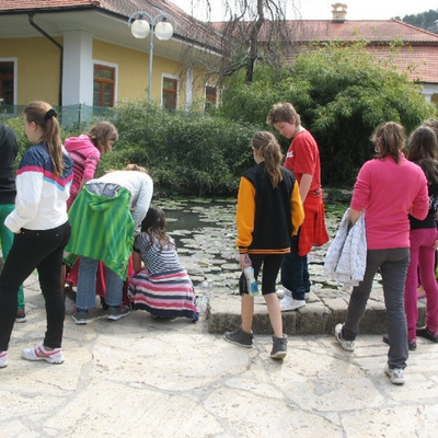 obrázok